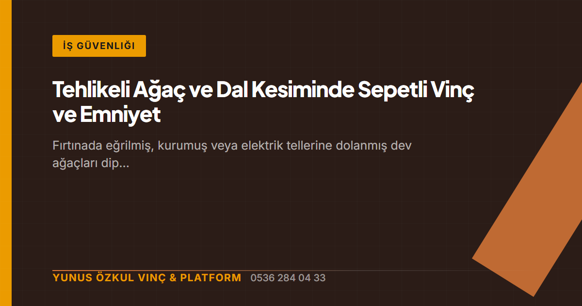 Tehlikeli Ağaç ve Dal Kesiminde Sepetli Vinç ve Emniyet